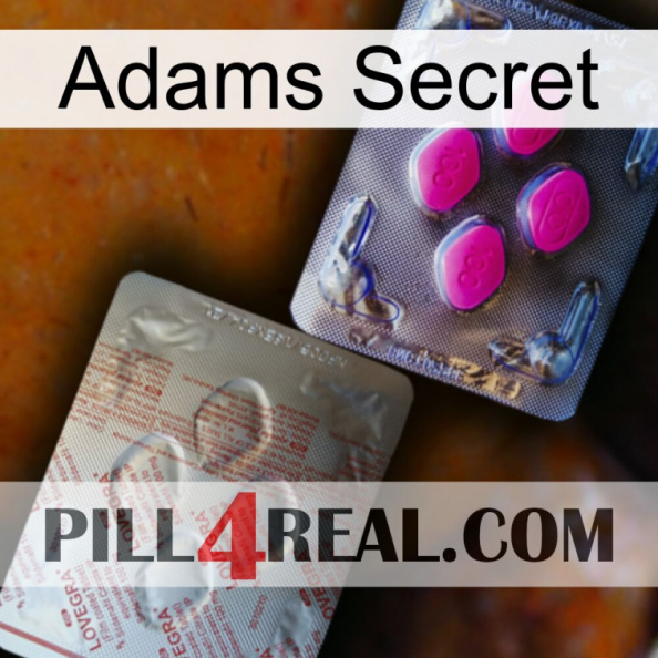 Adams Secret 38.jpg